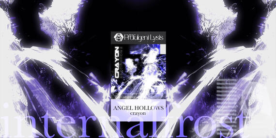 「angel hollows」